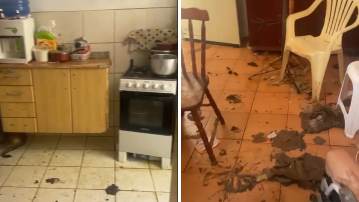 Idosa é encontrada em situação de abandono com animais em apartamento em Jundiaí