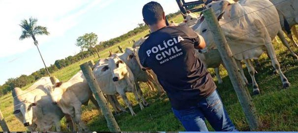 Investigações iniciaram depois que a vítima procurou a delegacia do município para denunciar o furto. — Foto: Reprodução