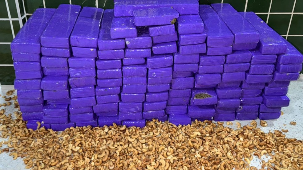Polícia apreendeu mais de 100 quilos de maconha que estavam escondidos em sacos de castanha de caju em Santa Quitéria, no interior do Ceará. — Foto: Polícia Militar/ Divulgação