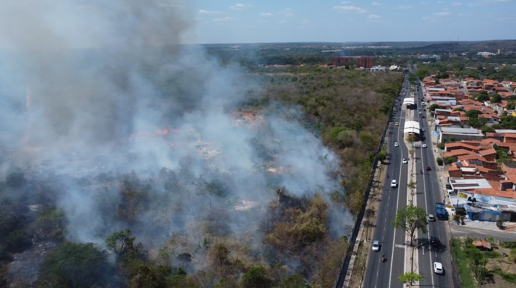 Vídeo: incêndio atinge vegetação em terreno da UFPI, em Teresina