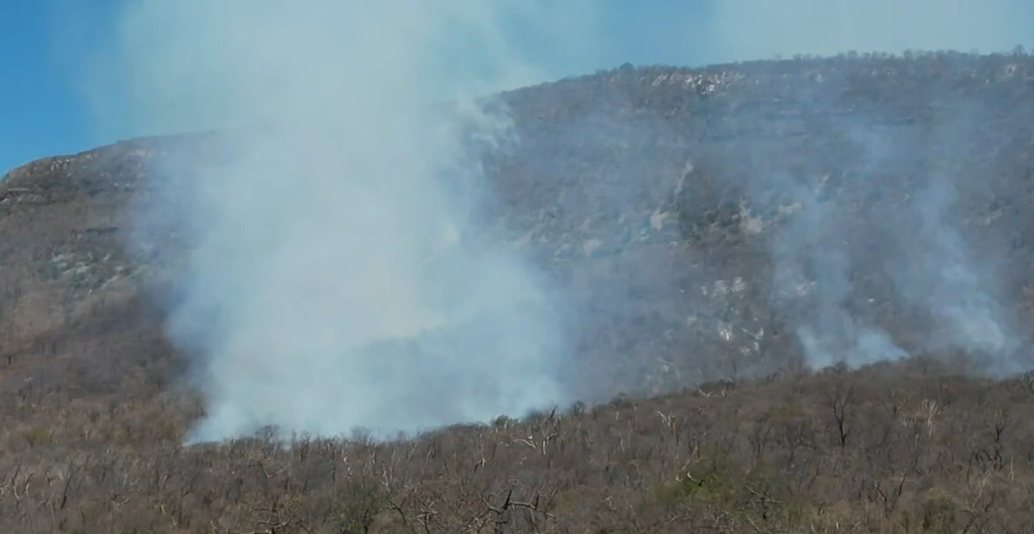 Sem chuvas desde maio, bombeiros tentam controlar incêndio que persiste há mais de um mês no oeste da Bahia