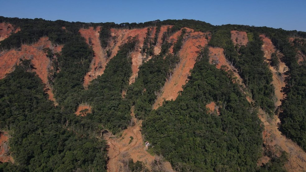 Drone replanta árvores em áreas onde houve deslizamentos em São Sebastião — Foto: Divulgação/Atlântica Consultoria Ambiental