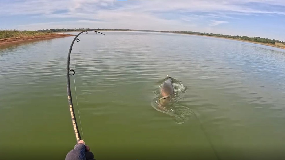 Roberto do Carmo comenta que a 'luta' para tirar o peixe d'água levou 45 minutos durante pescaria em Cardoso (SP) — Foto: Reprodução/Canal do YouTube Rei do pirarucu