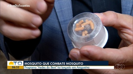 Programa ‘Aedes do Bem’ é lançado em Araguaína para ajudar no combate à dengue