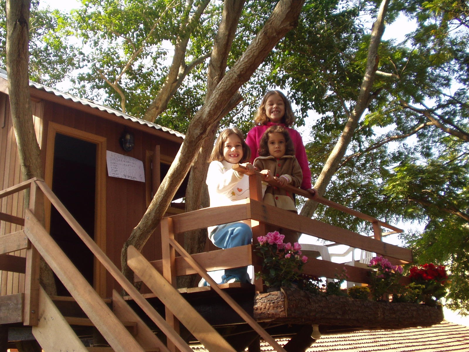 De surpresa, avós realizam sonho de netas e constroem casa na árvore inspirada em novela