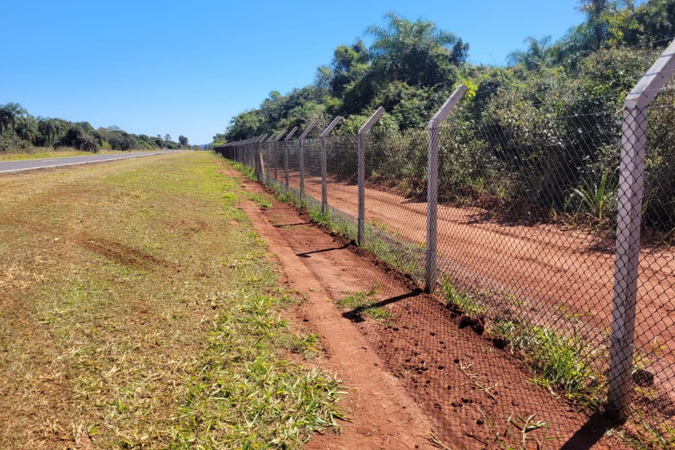 Instalação de alambrados contribui para evitar atropelamentos — Foto: Fundação Florestal