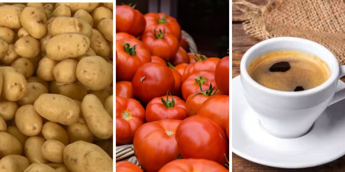 Com batata em queda e café 'estável', valor da cesta básica tem 4º recuo seguido em Campinas