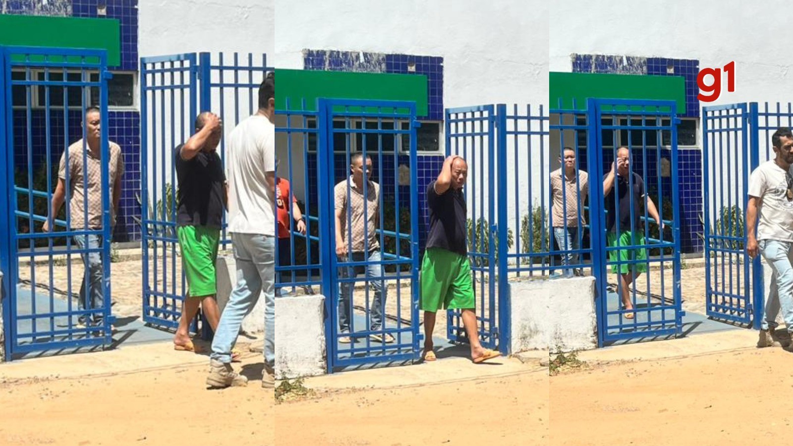 Chineses presos com duas toneladas de barbatanas de tubarão e cavalos-marinhos são soltos pela Justiça