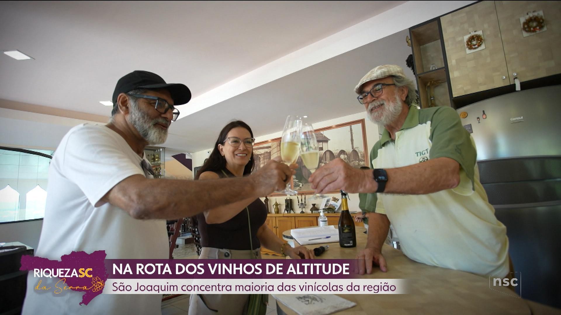 Riquezas da Serra: reveja as reportagens do especial sobre a produção de vinhos em SC