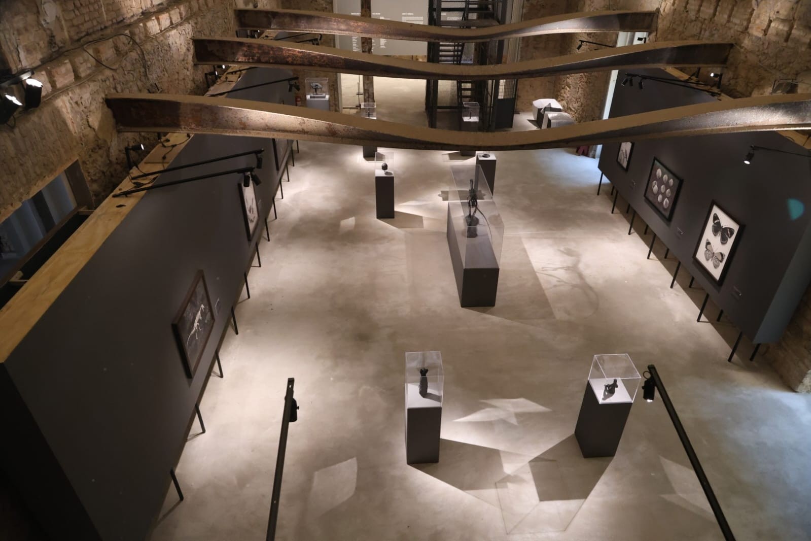 Exposições temporárias marcam reencontro do público com o Museu Nacional/UFRJ; mostras incluem obras de Vik Muniz