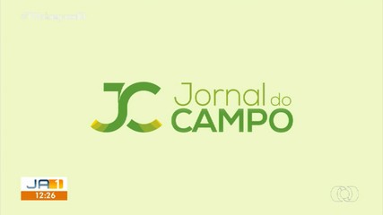 Veja os principais destaques do Jornal do Campo deste domingo (14)