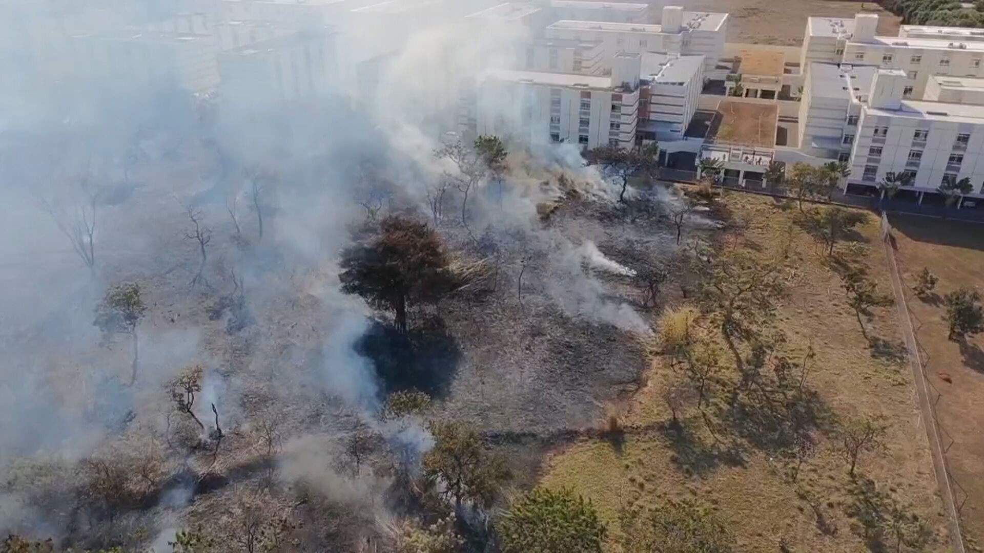 Incêndio na Asa Norte: moradores se assustam com a fumaça em área verde; veja vídeo