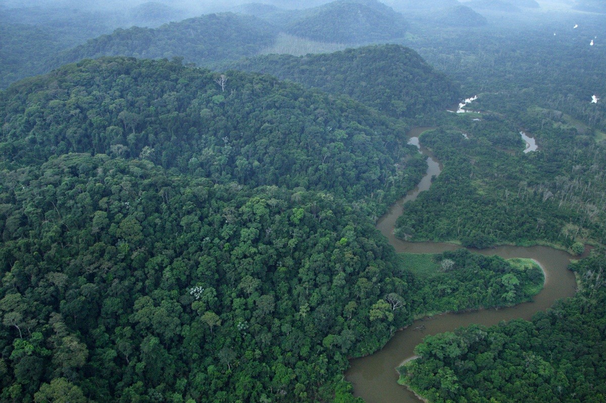 Reserva biológica federal mais antiga do Brasil completa 52 anos de preservação ambiental
