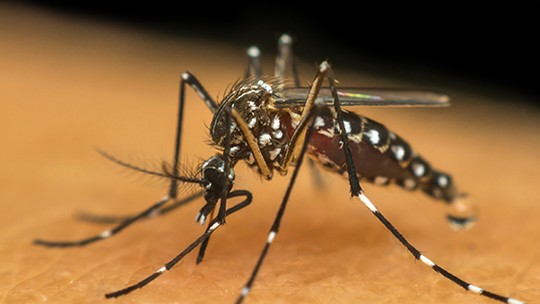 Cidades do centro-oeste registram novas mortes por dengue