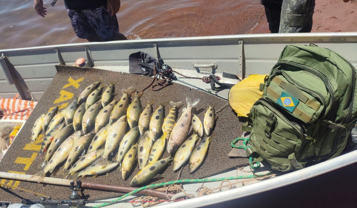Homens são multados em R$ 3,7 mil por pesca em área proibida do Rio Paraná, em Rosana