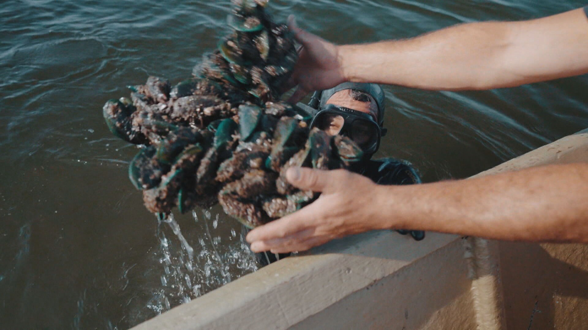Pescadores da Baía de Guanabara enfrentam excesso de lixo na água: ‘tem dia que não vê peixe, só plástico’  