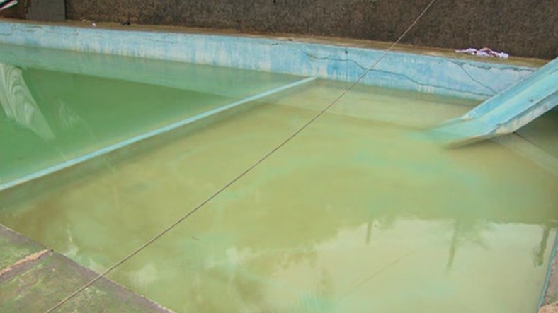 Após cortejo, família que morreu eletrocutada em piscina é sepultada em Itaperuçu