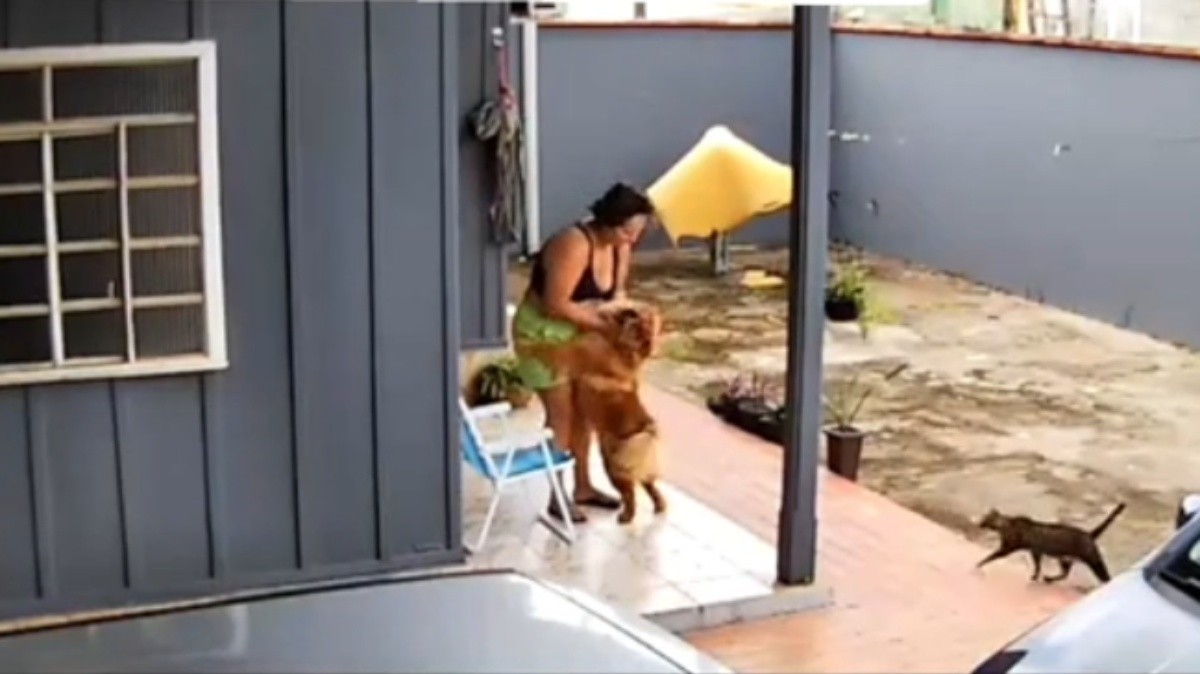 Após ser mordida no rosto por cão de estimação, mulher se prepara para cirurgia de reconstrução: 'A dor física é mais fácil do que a do coração' 