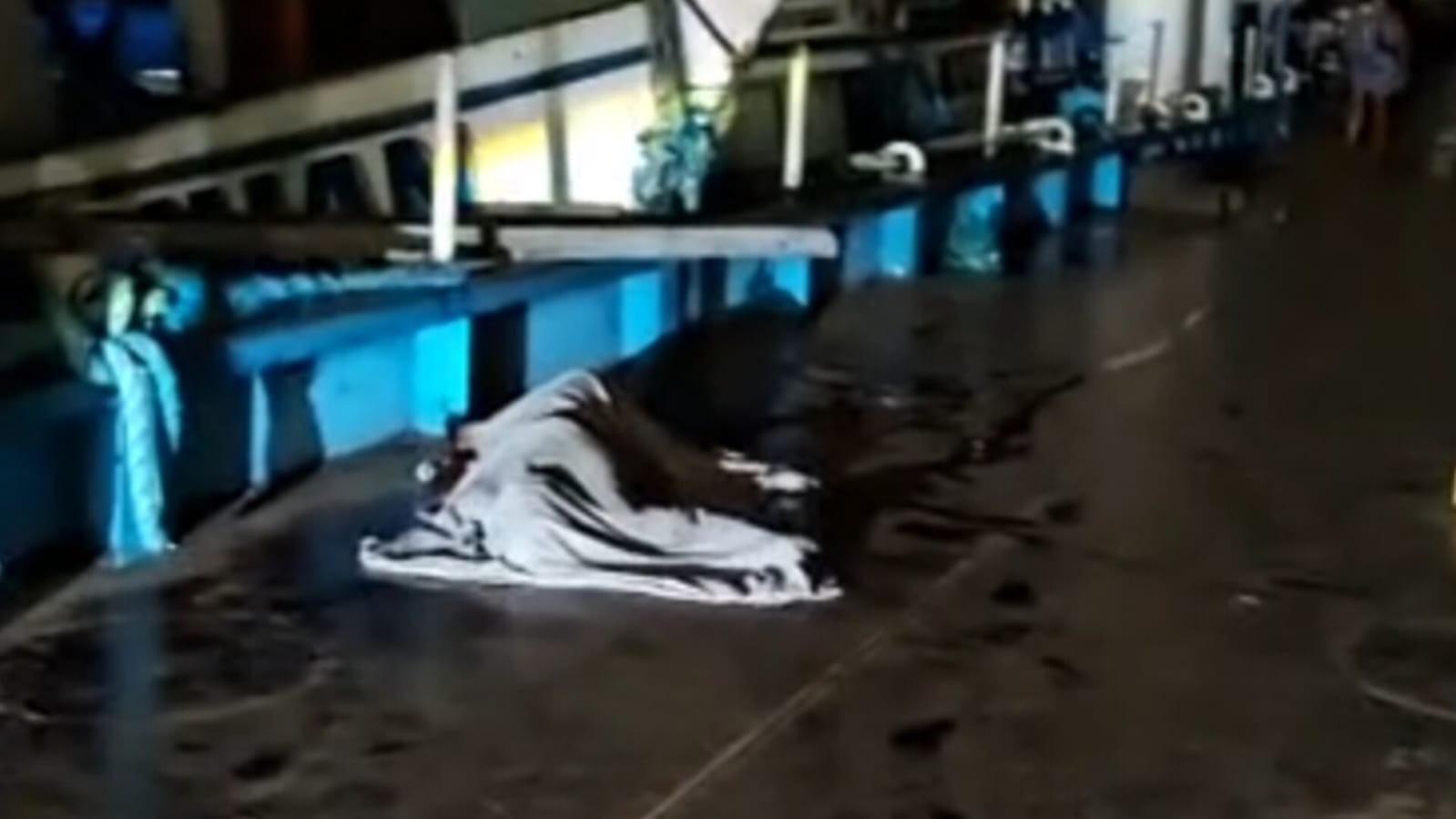 Jovem de 20 anos é morto a facadas durante discussão em Santarém