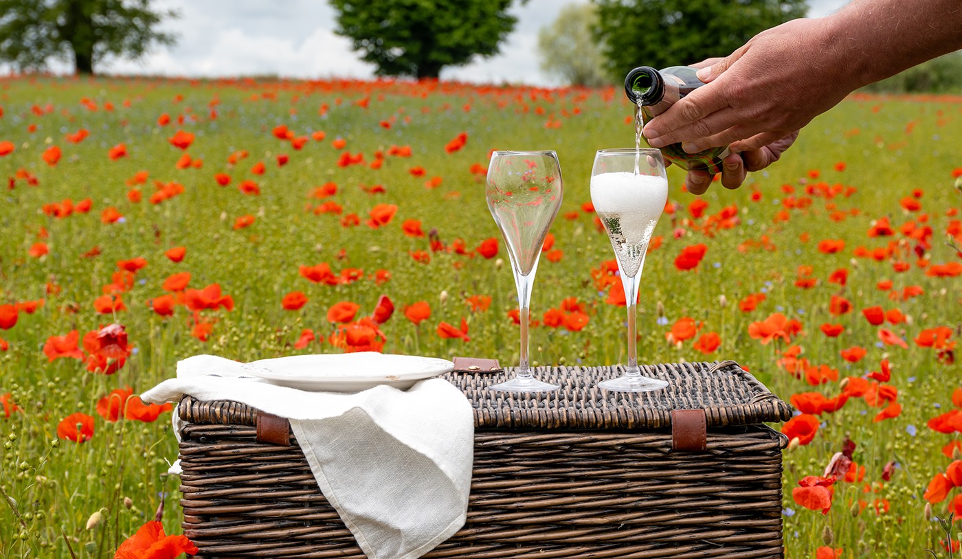 Espumante X Prosecco X Champagne X Cava: entenda as diferenças