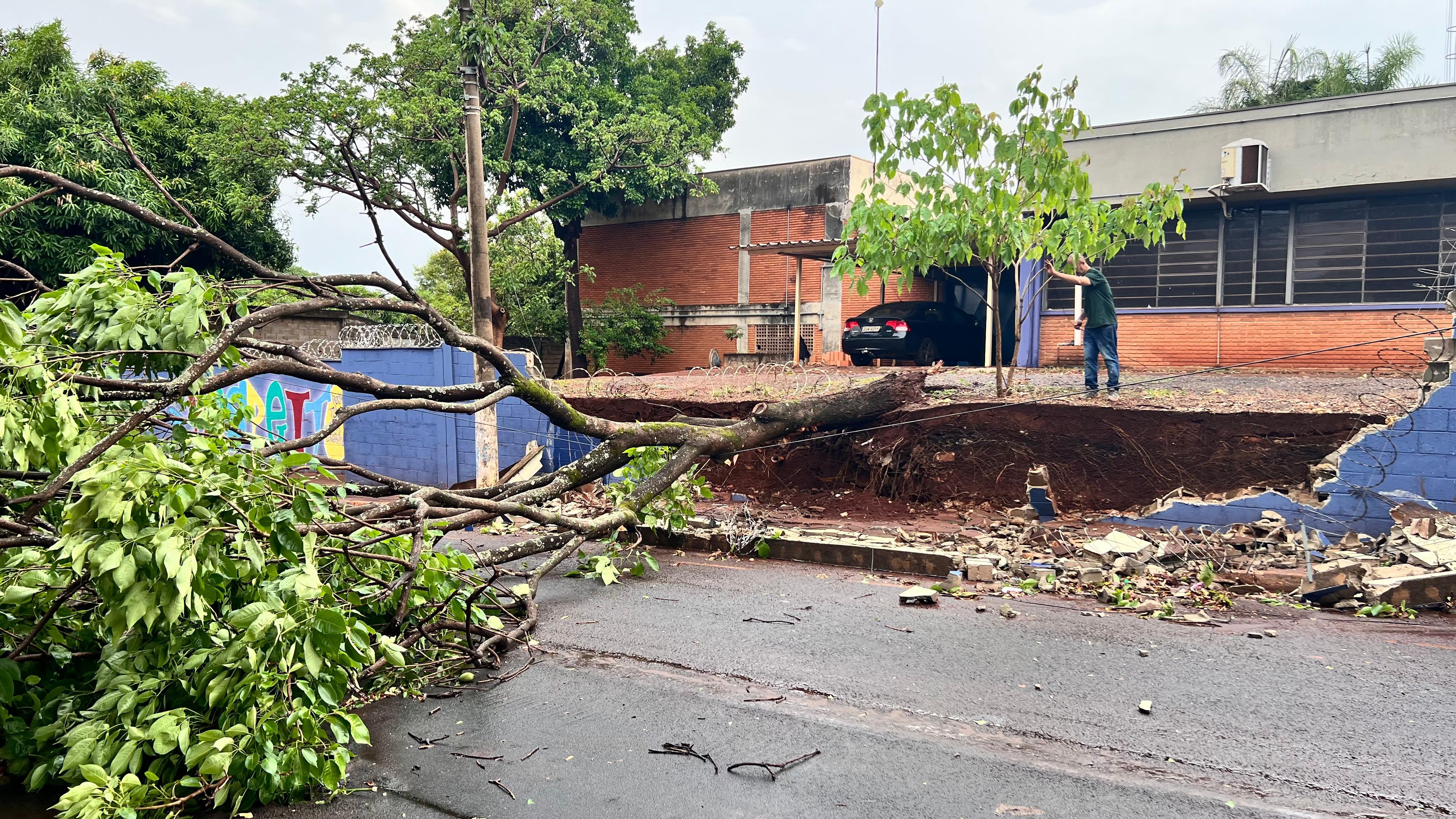 Árvores, muro de escola, trânsito: após meses de seca, chuva volta a Ribeirão Preto, mas provoca estragos 