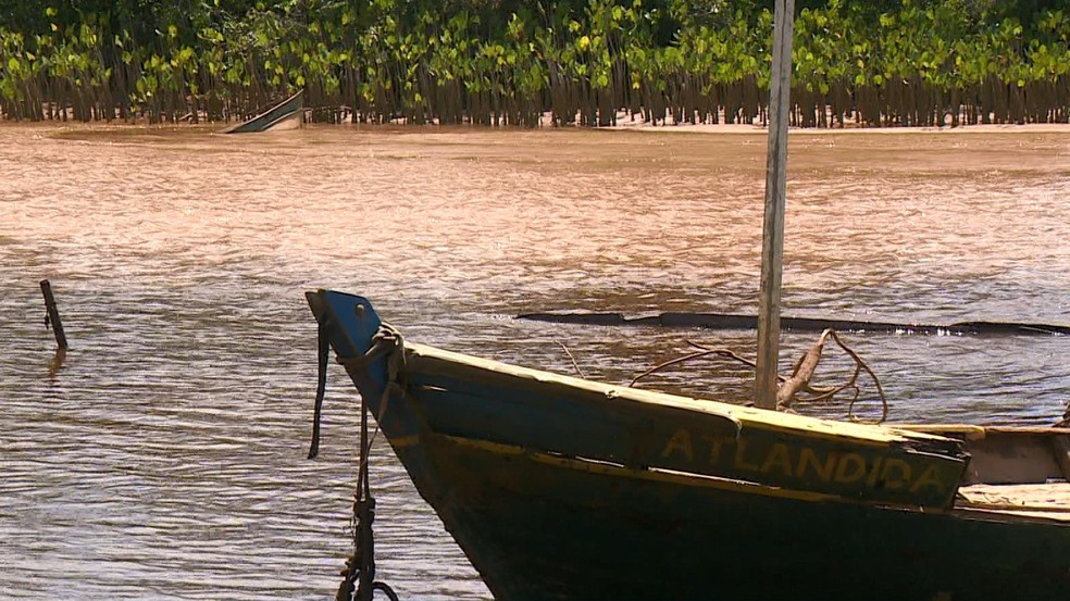 Pesca é proibida entre Barra do Riacho, em Aracruz, até Degredo/Ipiranguinha, em Linhares, no Espírito Santo. — Foto: Reprodução/TV Gazeta