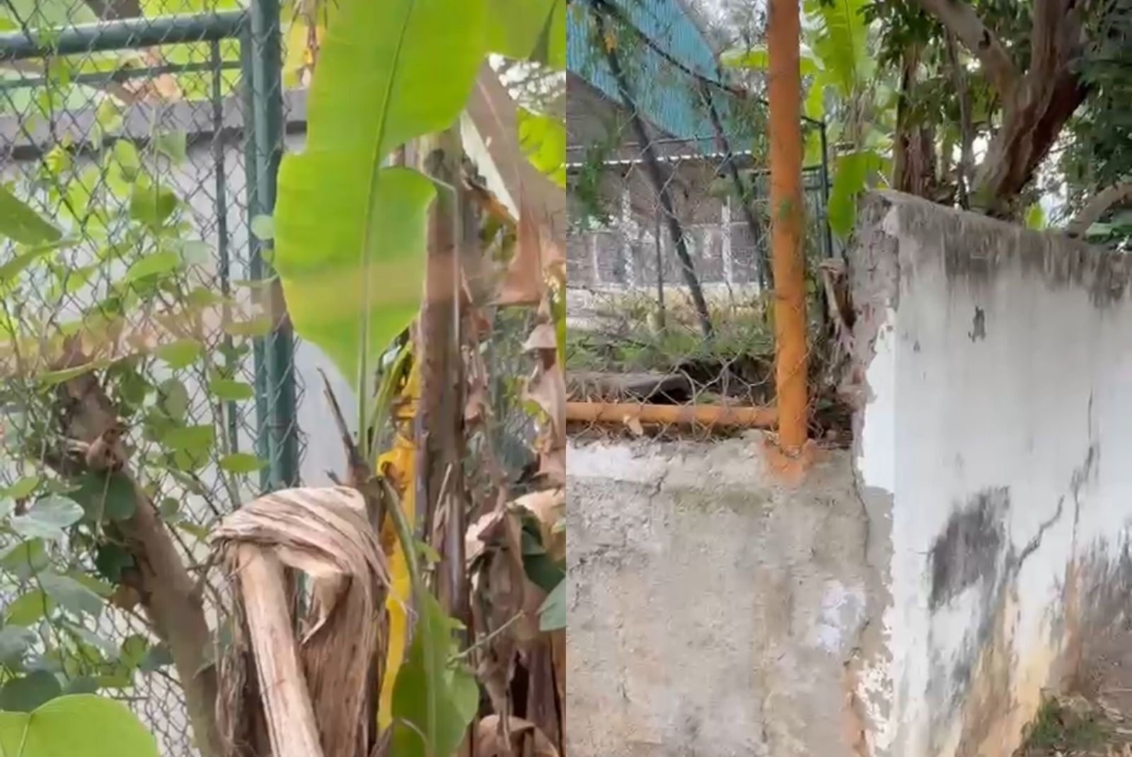 Família denuncia que aluna de 7 anos fugiu de escola por fresta no muro em Sorocaba