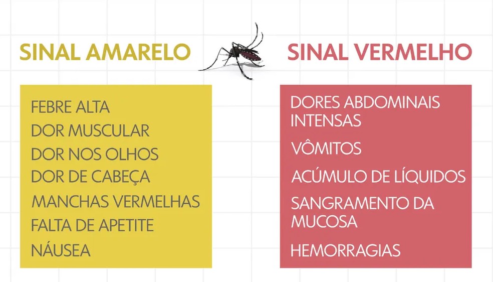 Sintomas da dengue — Foto: Arte/TV Globo