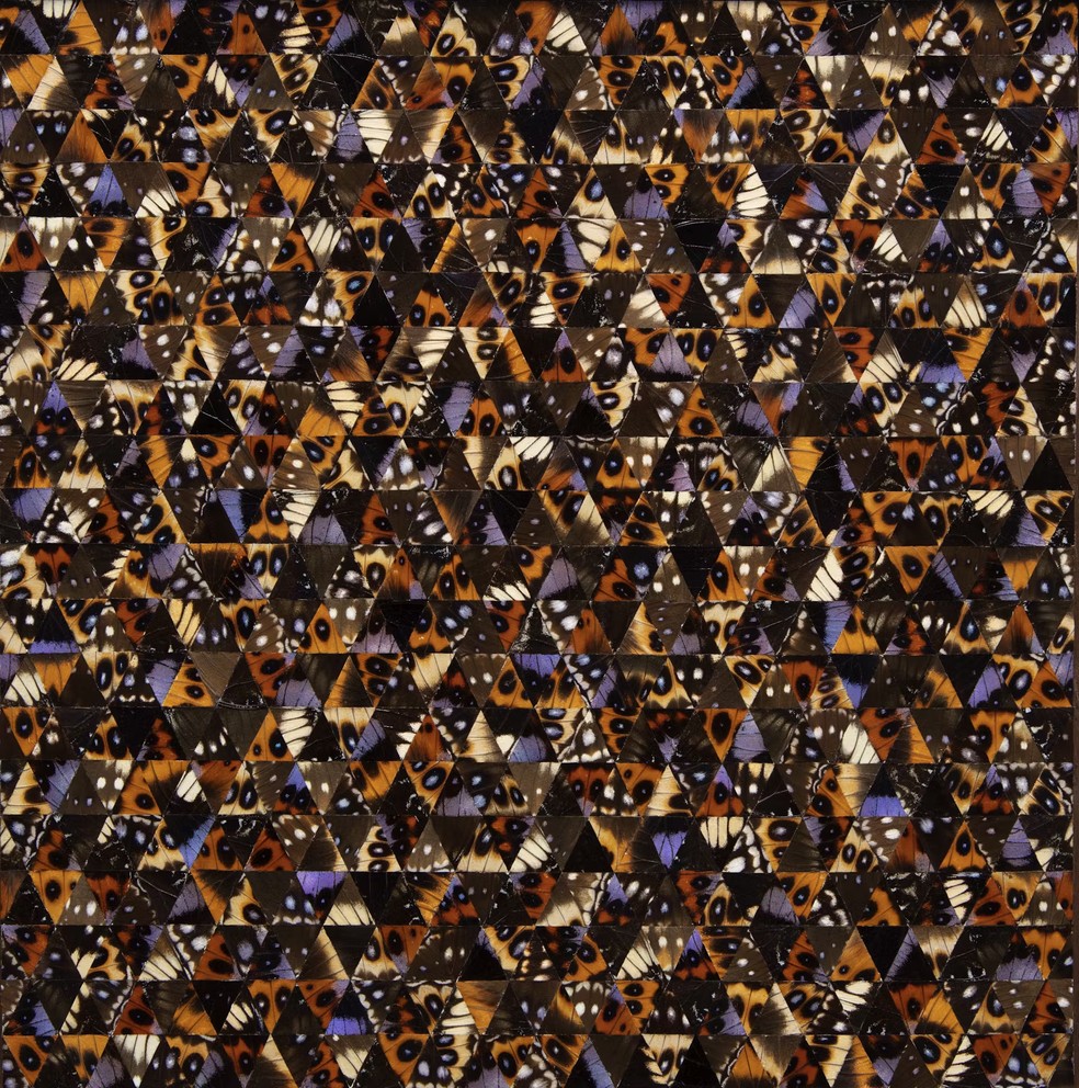 Feita com asas de borboletas, obra de Gabriel de la Mora também faz parte da exposição 'Veemente' — Foto: Museu Oscar Niemeyer