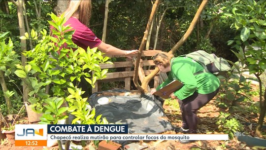 Chapecó realiza mutirão de combate à dengue em parceria com acadêmicos - Programa: Jornal do Almoço - SC 