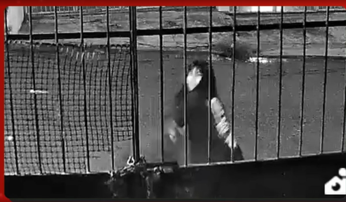 Vídeo mostra discussão dias antes de feminicídio na Zona Sul  Manaus