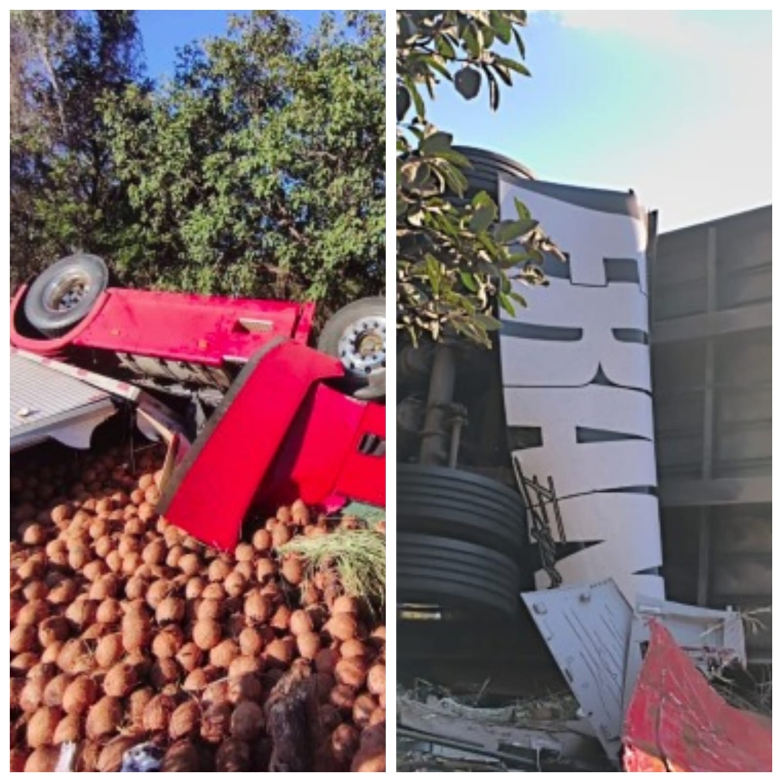 Caminhão carregado com cocos tomba na BR-135 e motorista fica ferido