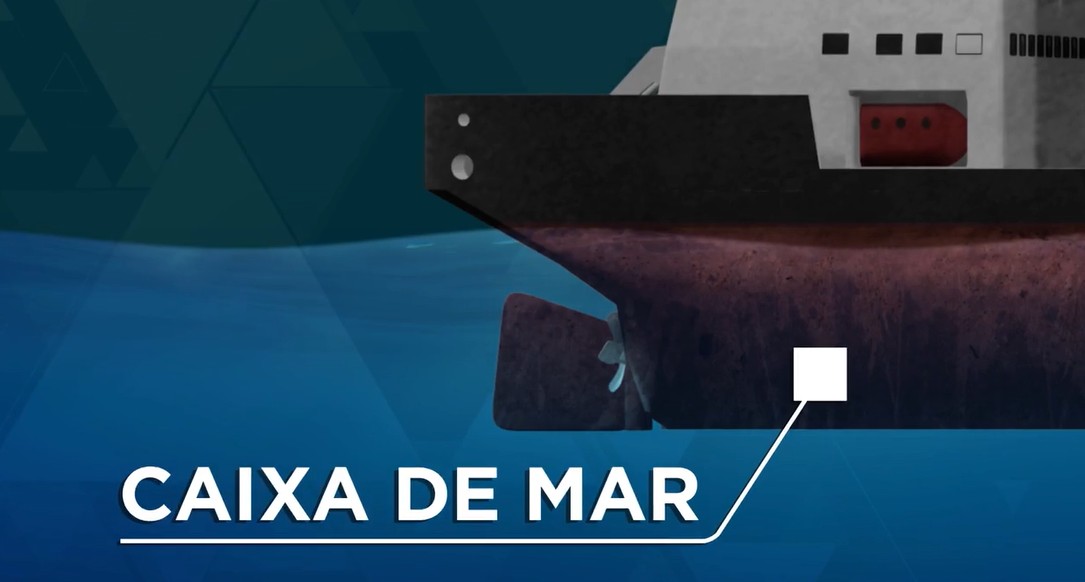 'Aquaman do tráfico': criminosos de SP recrutavam mergulhadores do ES para esconder drogas em navios e enviar para o exterior