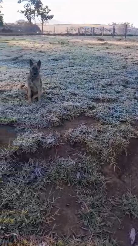 Campinas registra menor temperatura em quatro anos