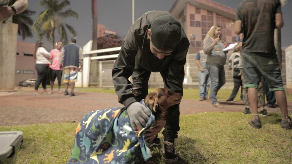 Cadela Nina recebeu cobertor da Subea na última sexta-feira (23). — Foto: Divulgação