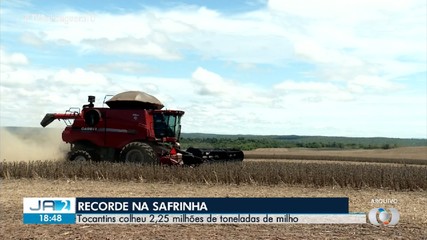 Tocantins colhe 2,25 milhões de tonelhadas de milho