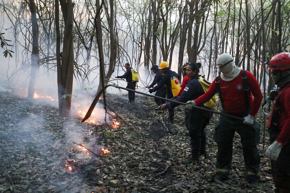 Incêndio atinge área de floresta em Iranduba, no Amazonas — Foto: Mauro Neto/Secom