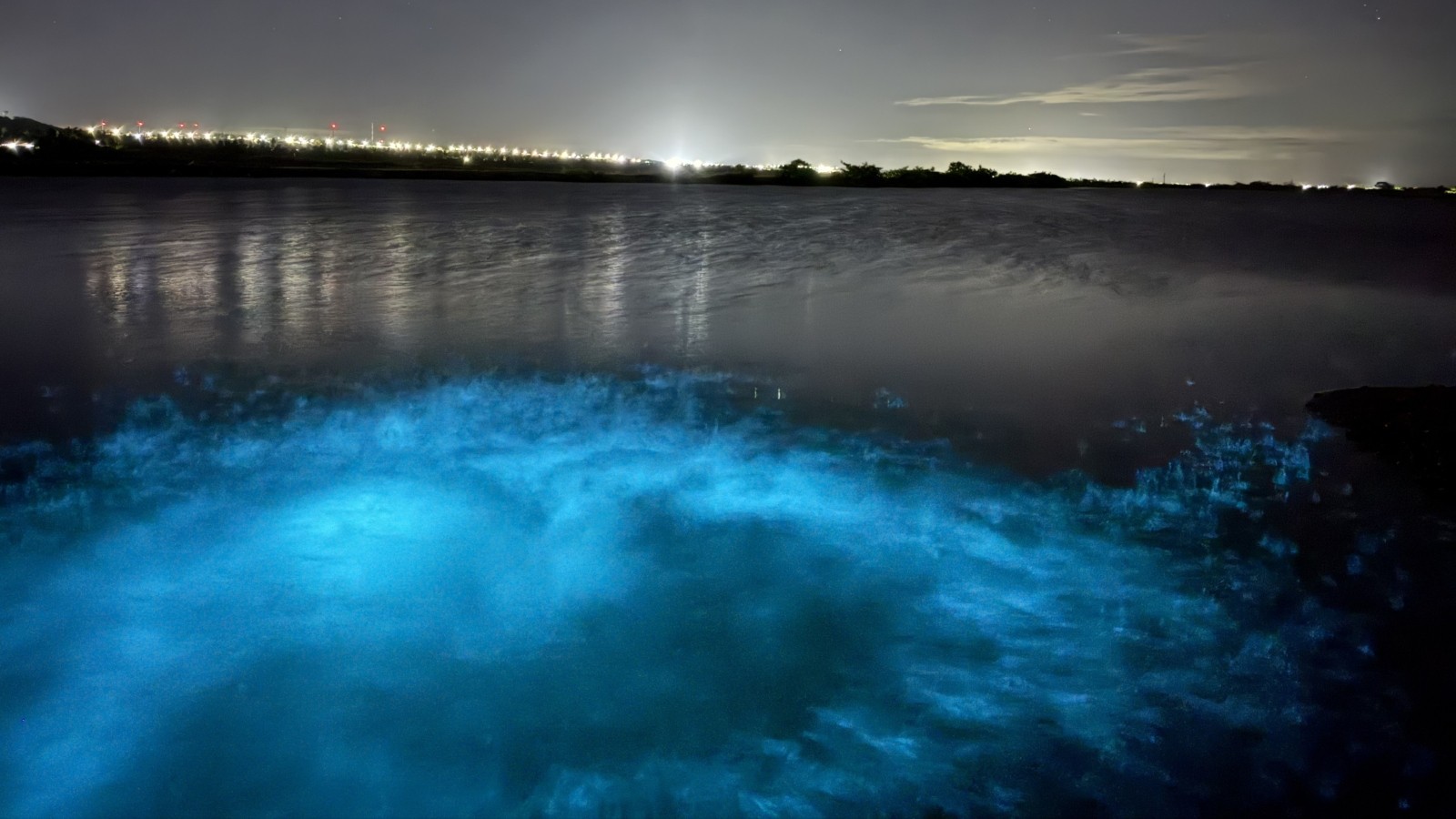 Mar de Icapuí se ilumina em azul vibrante: bioluminescência encanta o litoral cearense​‌​