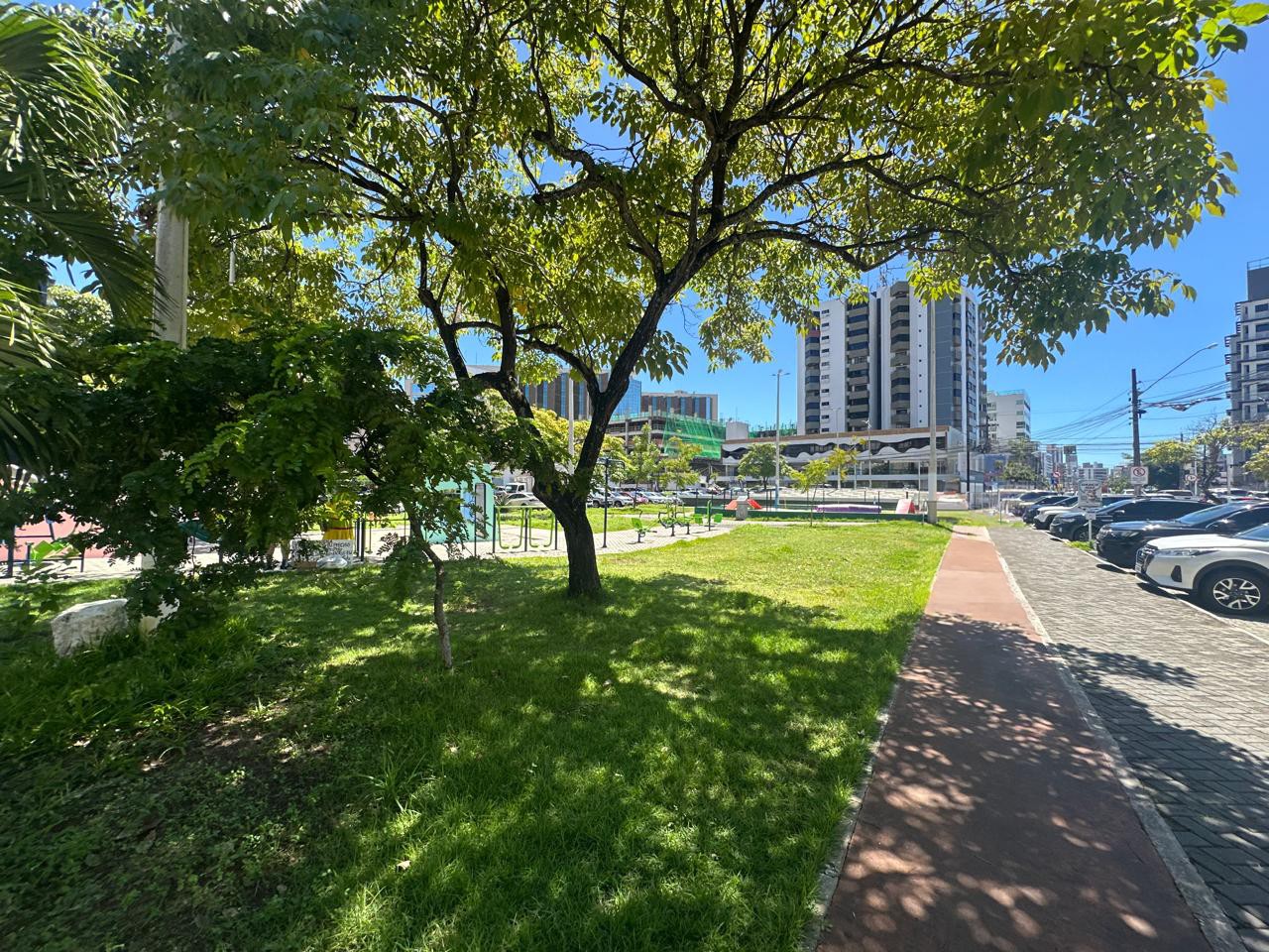 Paraíba Terra Verde distribui mudas e promove sustentabilidade em João Pessoa
