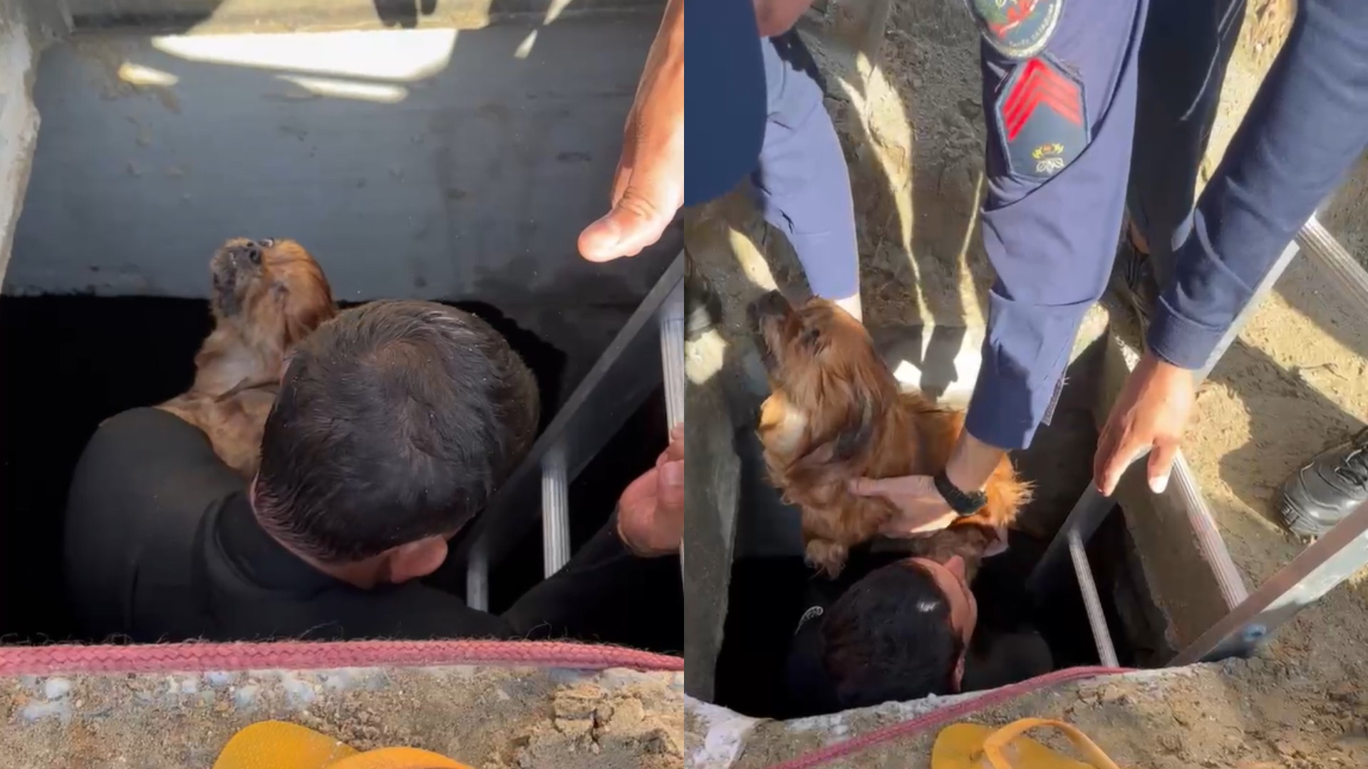 Morre cachorro que caiu em galeria de macrodrenagem da praia alargada de Balneário Camboriú