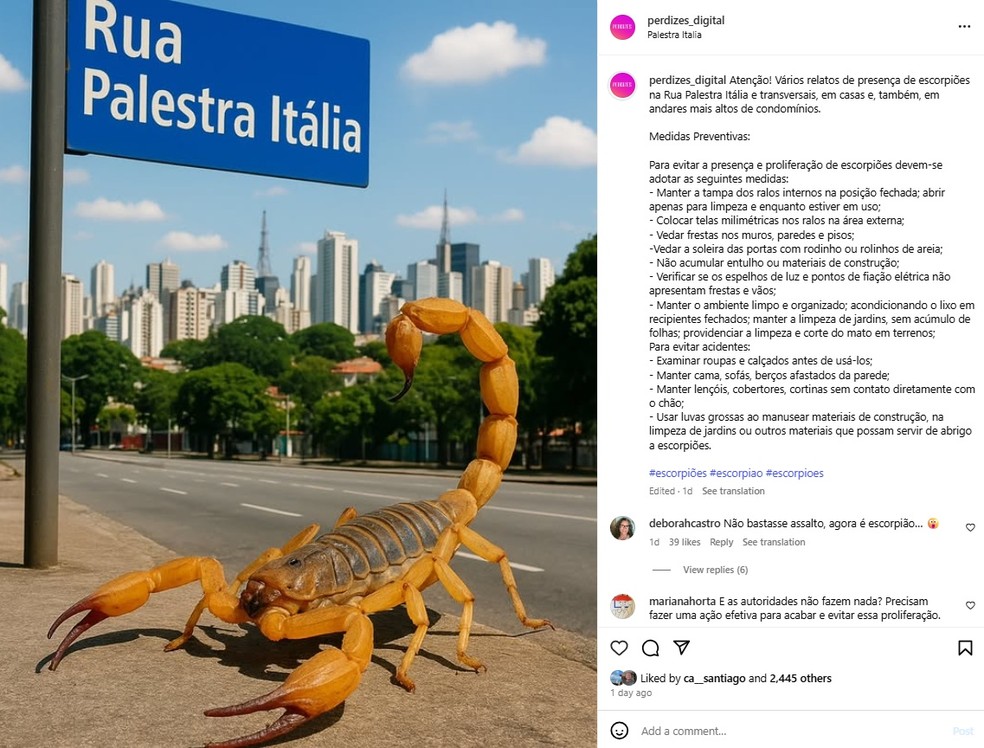 Página Perdizes_Digital fala sobre aparecimento de escorpiões no bairro. — Foto: Reprodução/Instagram