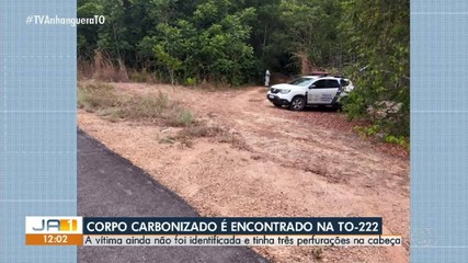 Corpo carbonizado é encontrado na TO-222; vítima tinha três perfurações na cabeça