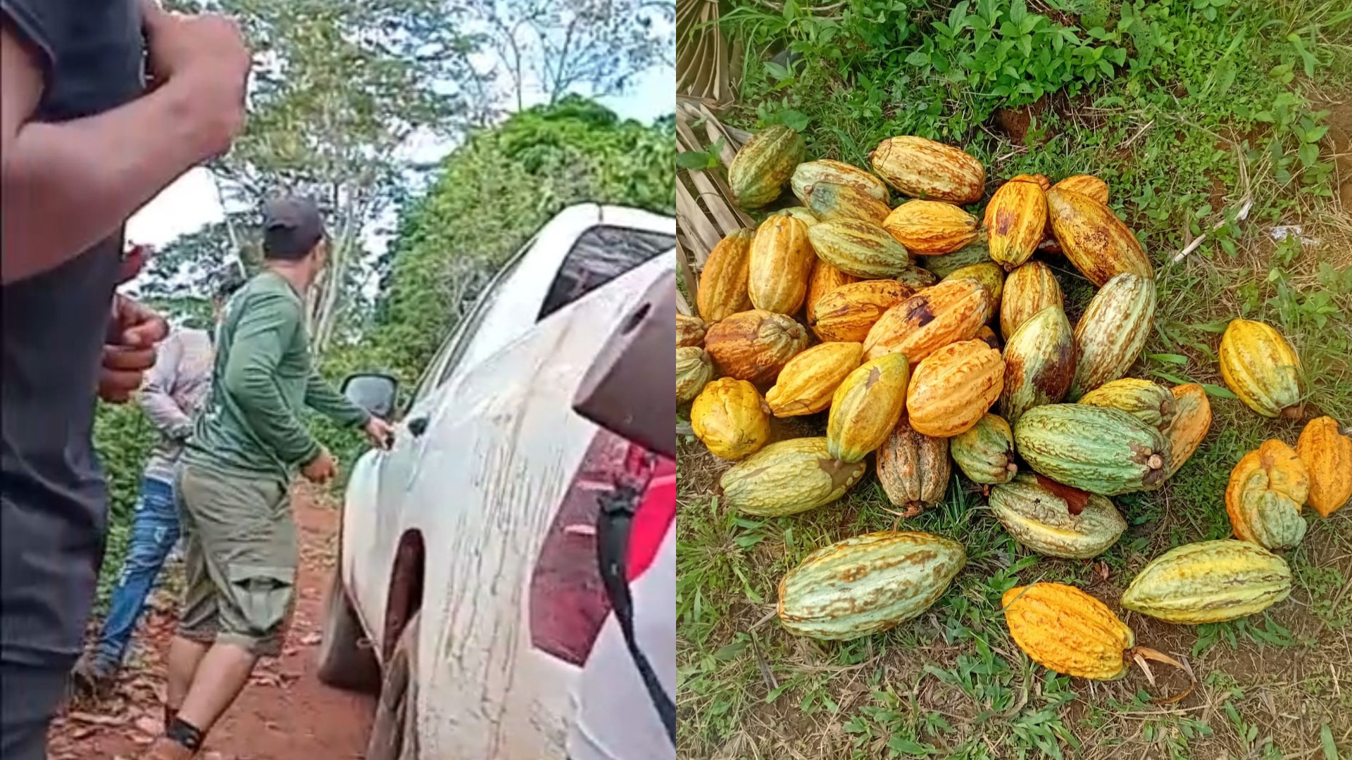 Indígenas Parakanã denunciam ataque a tiros de pistoleiros na TI Apyterewa, no Pará