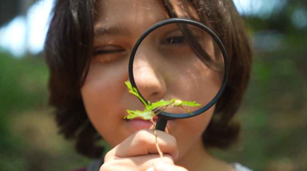 Projeto tem como objetivo estimular alunos e professores a desenvolverem projetos, pesquisas e atividades práticas que conectam educação, ciência e cidadania ambiental — Foto: Leonardo Vilela