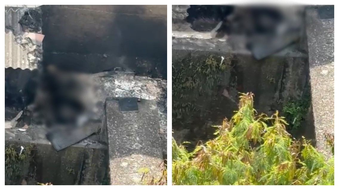 Corpo carbonizado é encontrado próximo a córrego no Tatuapé, na Zona Leste de SP