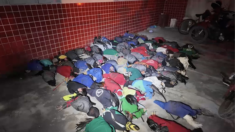Polícia apreende 77 galos de briga no RN — Foto: Mossoró Notícia / Cedida