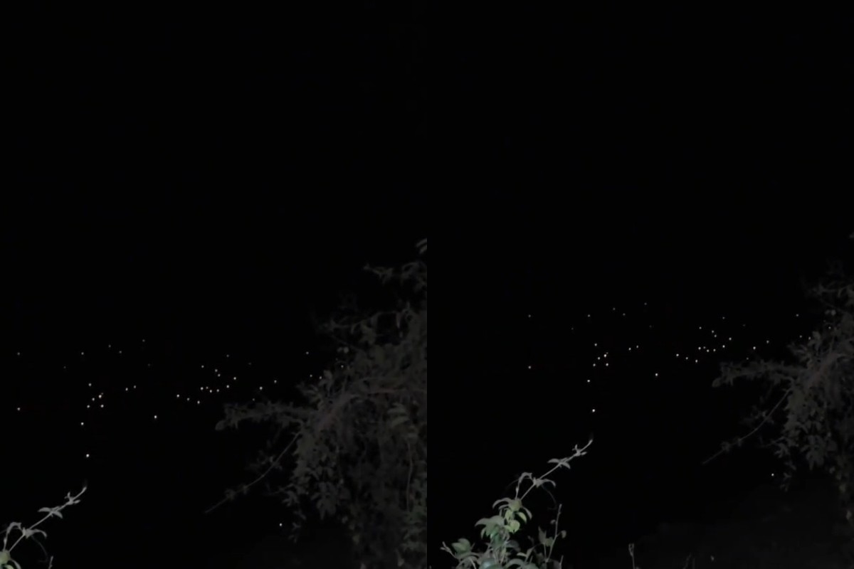 VÍDEO: turistas registram dezenas de olhos de jacarés durante passeio noturno no Pantanal de MT
