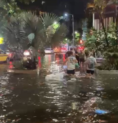 Chuva forte com raios e ventania derruba árvores e deixa ruas alagadas em bairros do Centro e Zona Sul