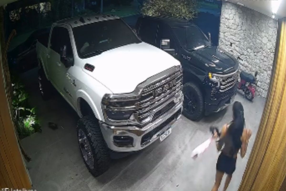Ana Castela leva susto com gambá na garagem e sai correndo: 'Ia ficar com minha casa'
