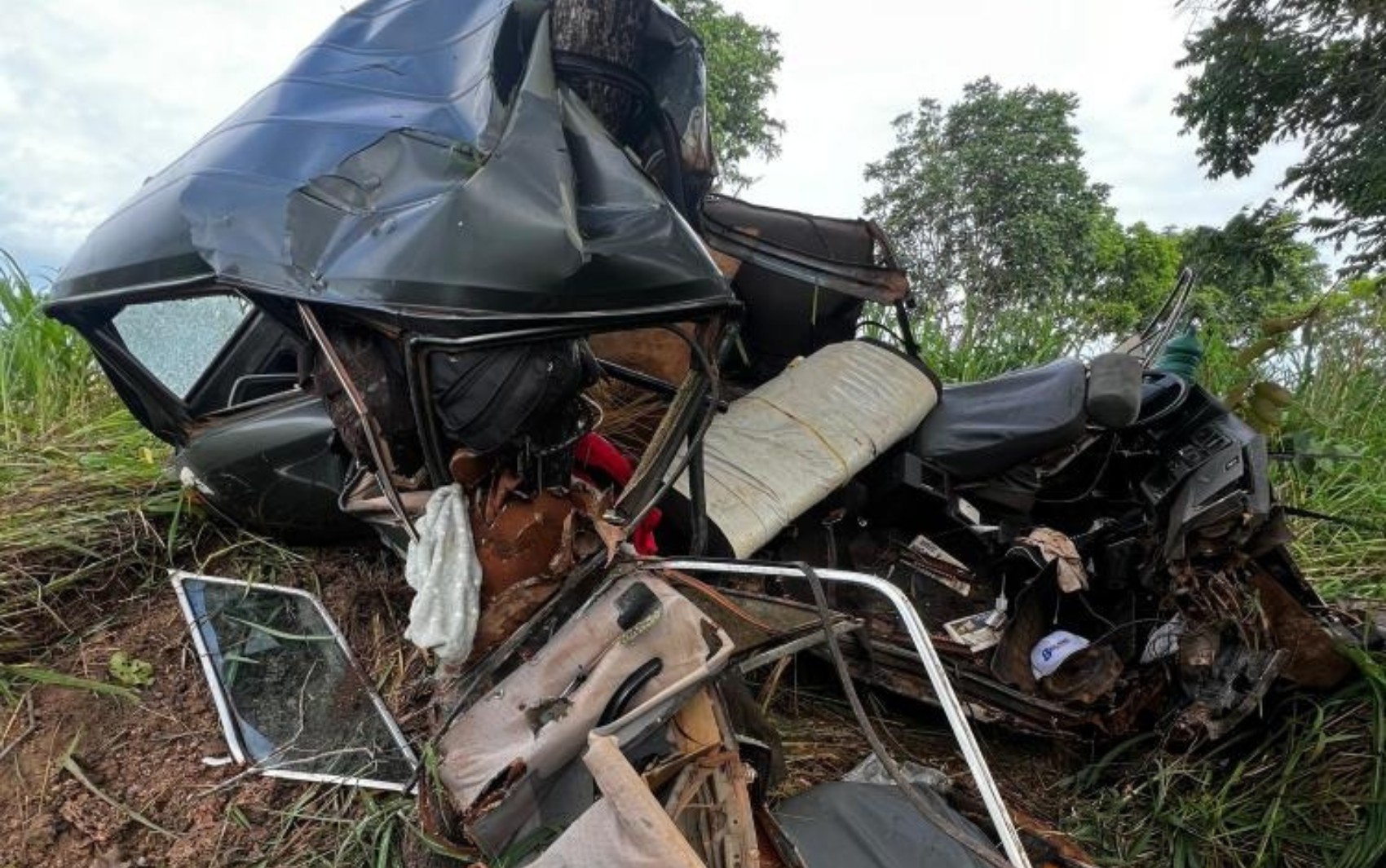 Criança morre e pai fica ferido em acidente após carro desviar de capivara e bater contra árvore na GO-118